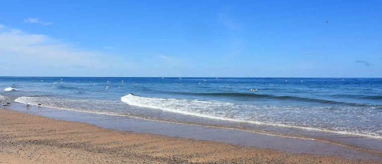 wellfleet ma main 1500x645 1 768x330