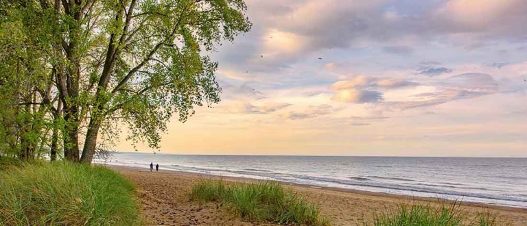 wmichigan 1500x645 1 1 768x330