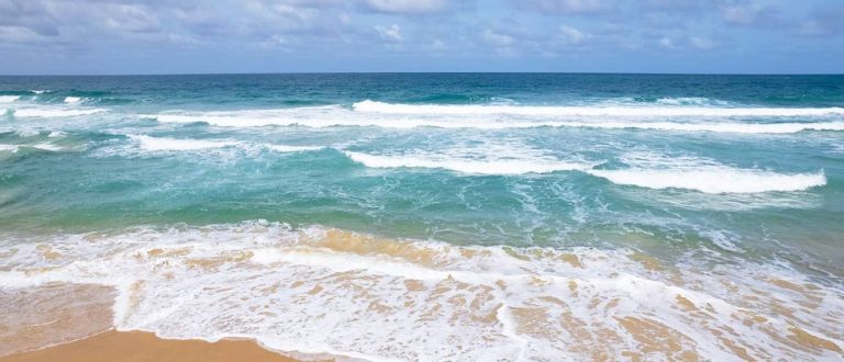 Boca Raton 1500x645 1 768x330