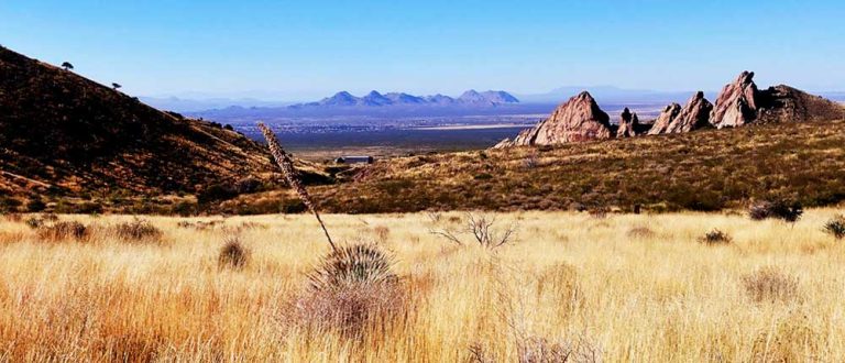 las cruces 1500x645 1 768x330
