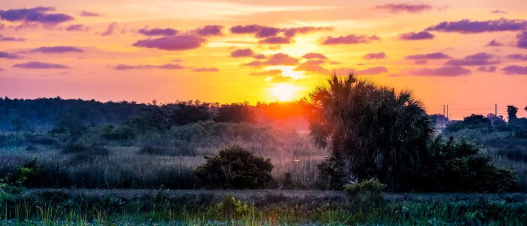 salabama 1000x430 768x330