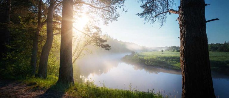 summer no txt 2 1 768x330