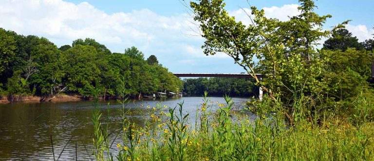 Memphis 1000x430 768x330