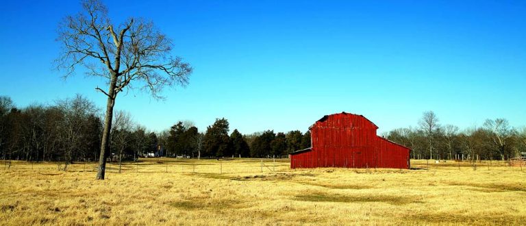 east nashville 1000x430 2 768x330