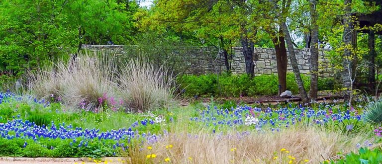 central austin 1000x430 768x330