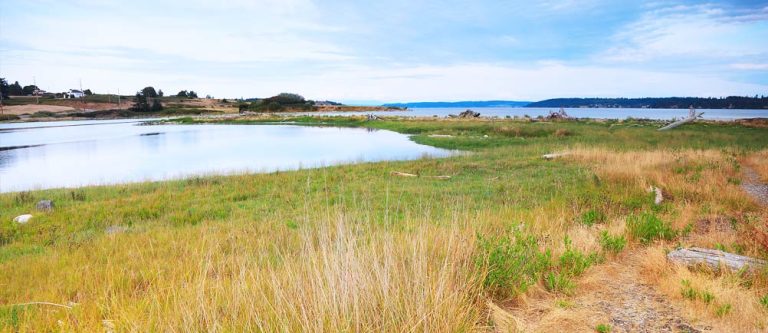 whidbey island main 768x333