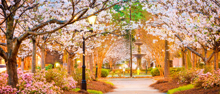 GA Macon main 768x330