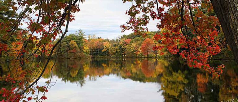 fairfield county ct 1000x430 768x330