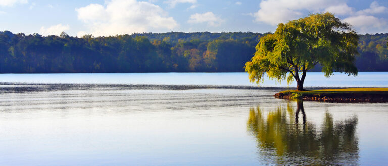 knoxville main 768x330