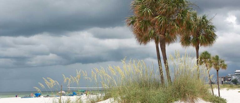 st petersburg fl 2 1000x430 768x330