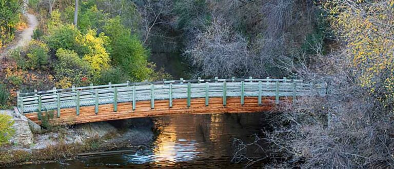 twin cities mn 1000x430 768x330