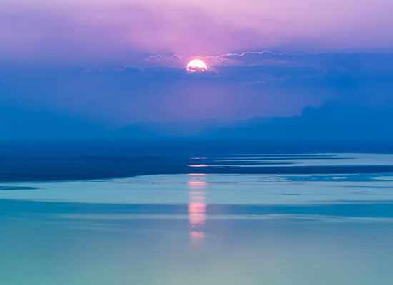 consciousness thumbnail 2