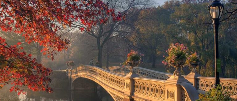 new york city 2 grand central 1000x430 768x330