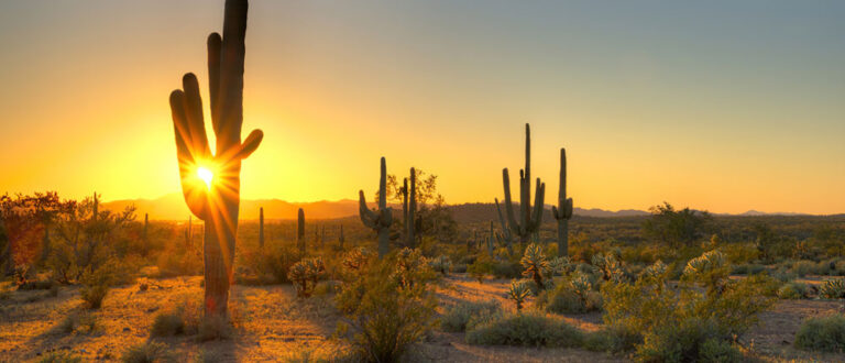 phoenix scottsdale 2 1000x430 768x330