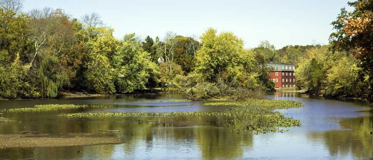 princeton nj 1000x430 768x330