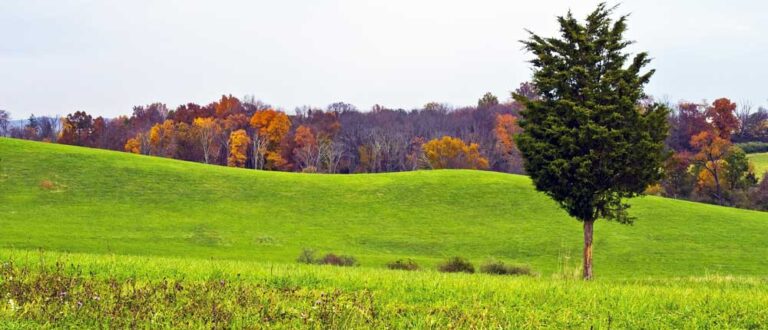 summit nj 1000x430 768x330