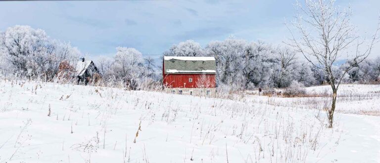 twin cities 1500x645 1 768x330