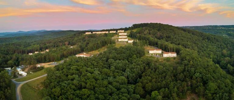 main banners Purusha Romney WV 1 768x330