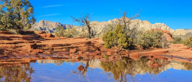 salt lake city ut 1000x430 768x330