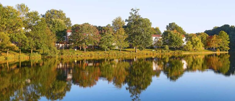 bethesda md 1000x430 768x330