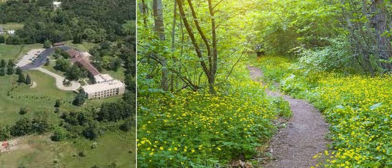 location LoyolaRetreat 768x330