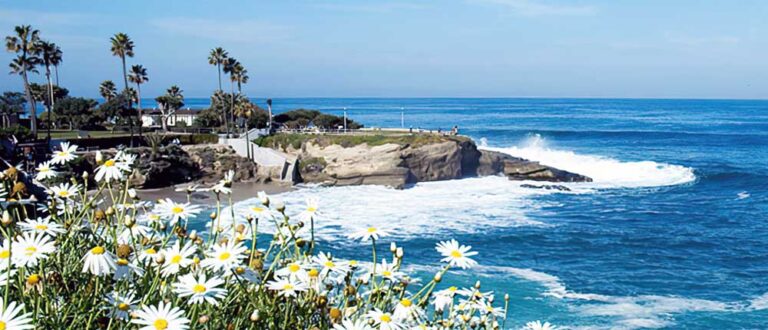 encinitas 1000x430 1 768x330
