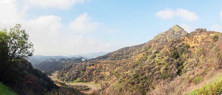los feliz 1000x430 768x330