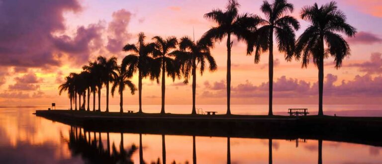 miami 1000x430 768x330