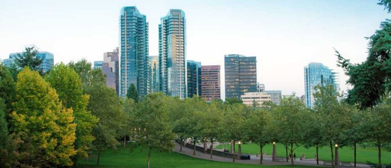 bellevue 1000x430 768x330