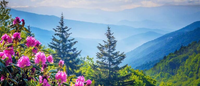 Neil Patterson tallk112325 768x330