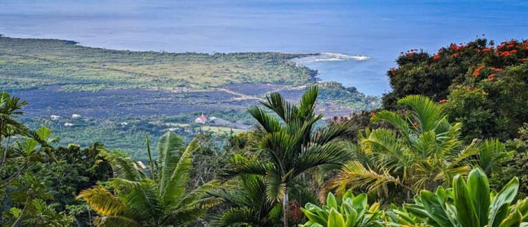 coastline main banner 768x330