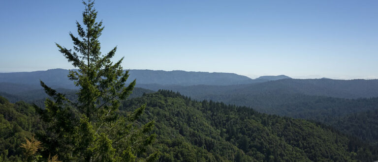 main banners Santa Cruz mountains 768x330
