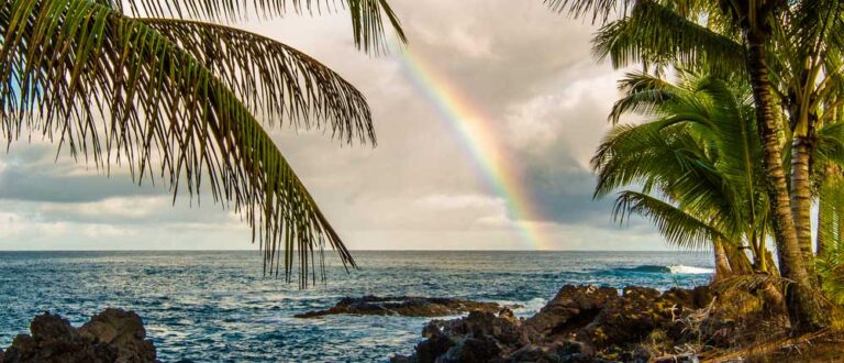 honolulu barby 1000x430 768x330