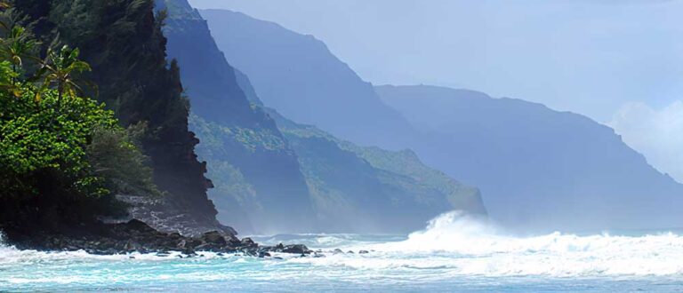 honolulu de vries 1000x430 768x330