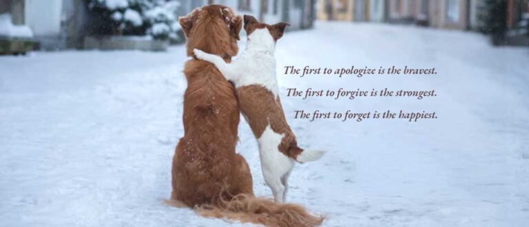 doggies in a relationship 768x330