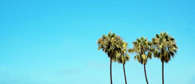 los angeles 1500x645 1 1 768x330