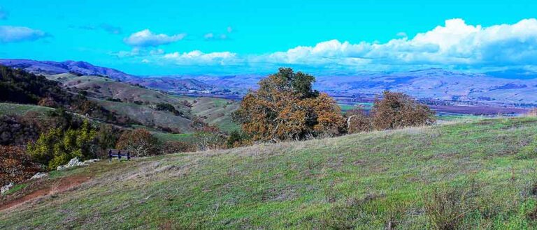 silicon valley 1000x430 768x330