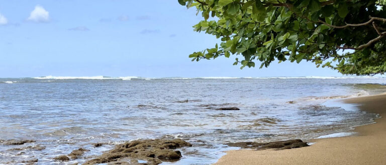 Hawaii half day tmr 768x330