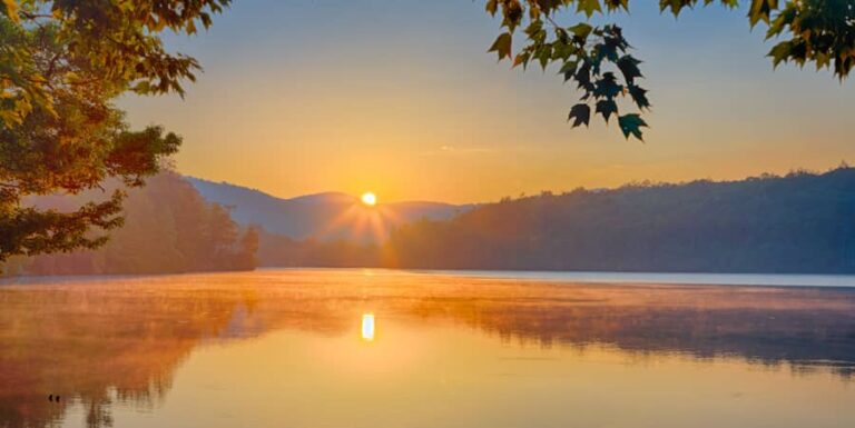 pretty picture 768x385