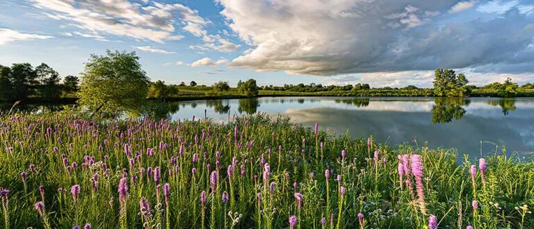 Anderson farm Fairfield gigapixel scale sml 768x330