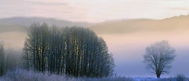 ann arbor 1000x430 768x330