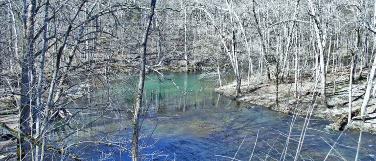 cIncinnati 1500x645 1 768x330