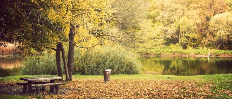 western michigan 1000x430 768x330